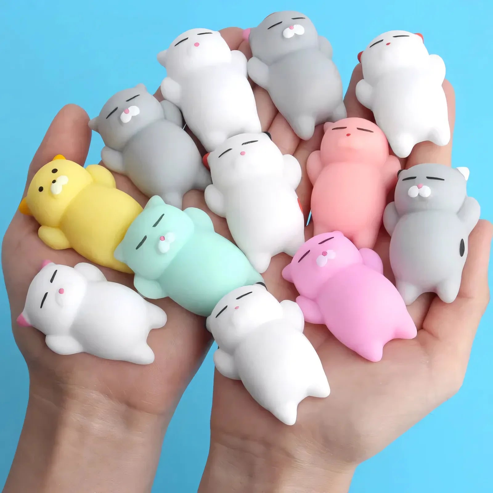 Chat Squishy Animaux Coloré