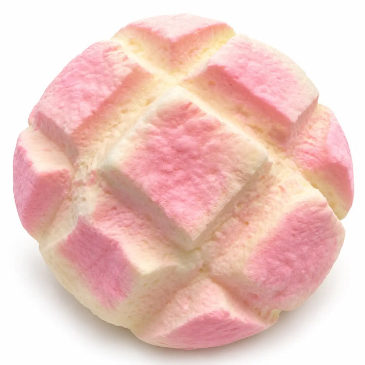 Pink Melon Bread Squishy