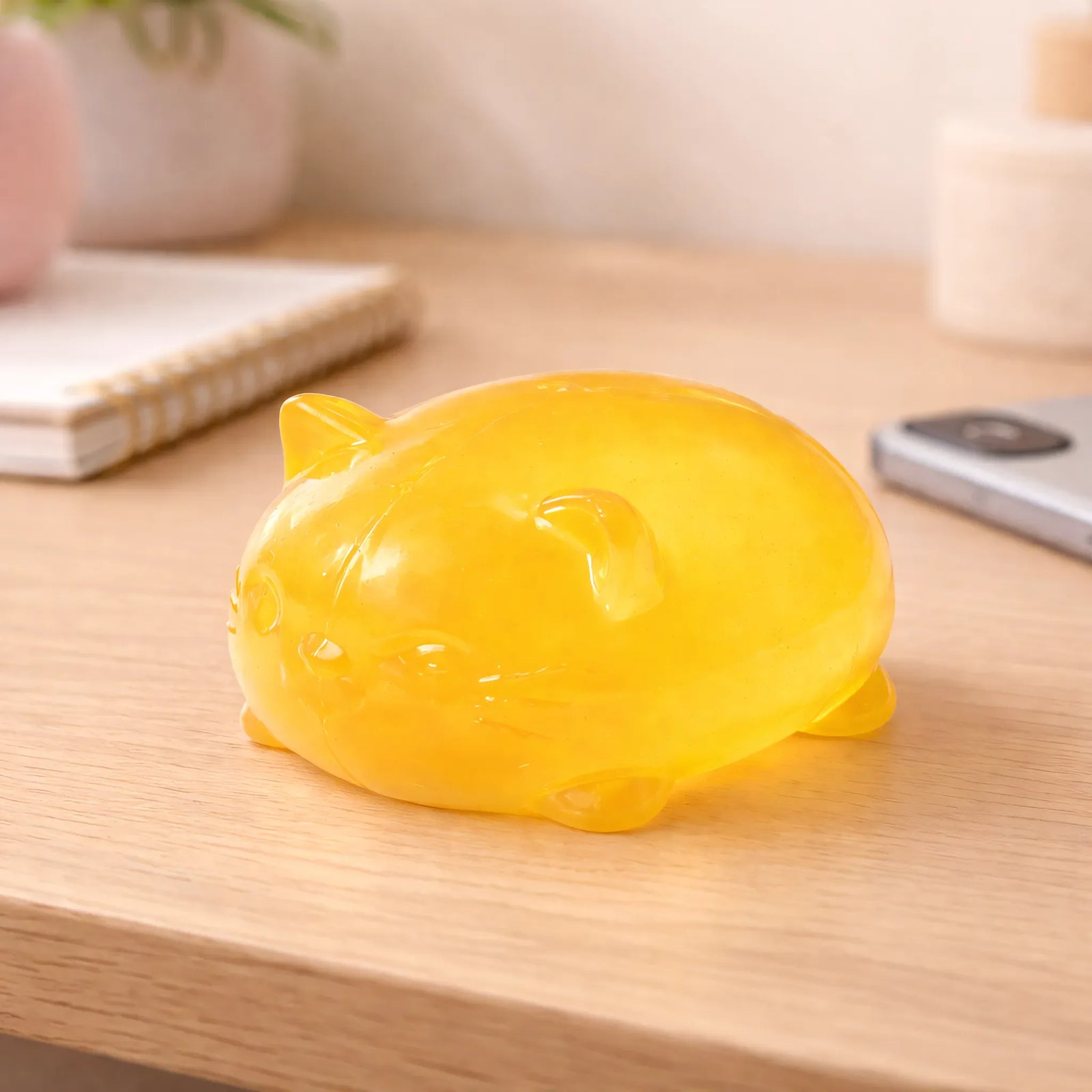 Squishy chat orange ASMR
