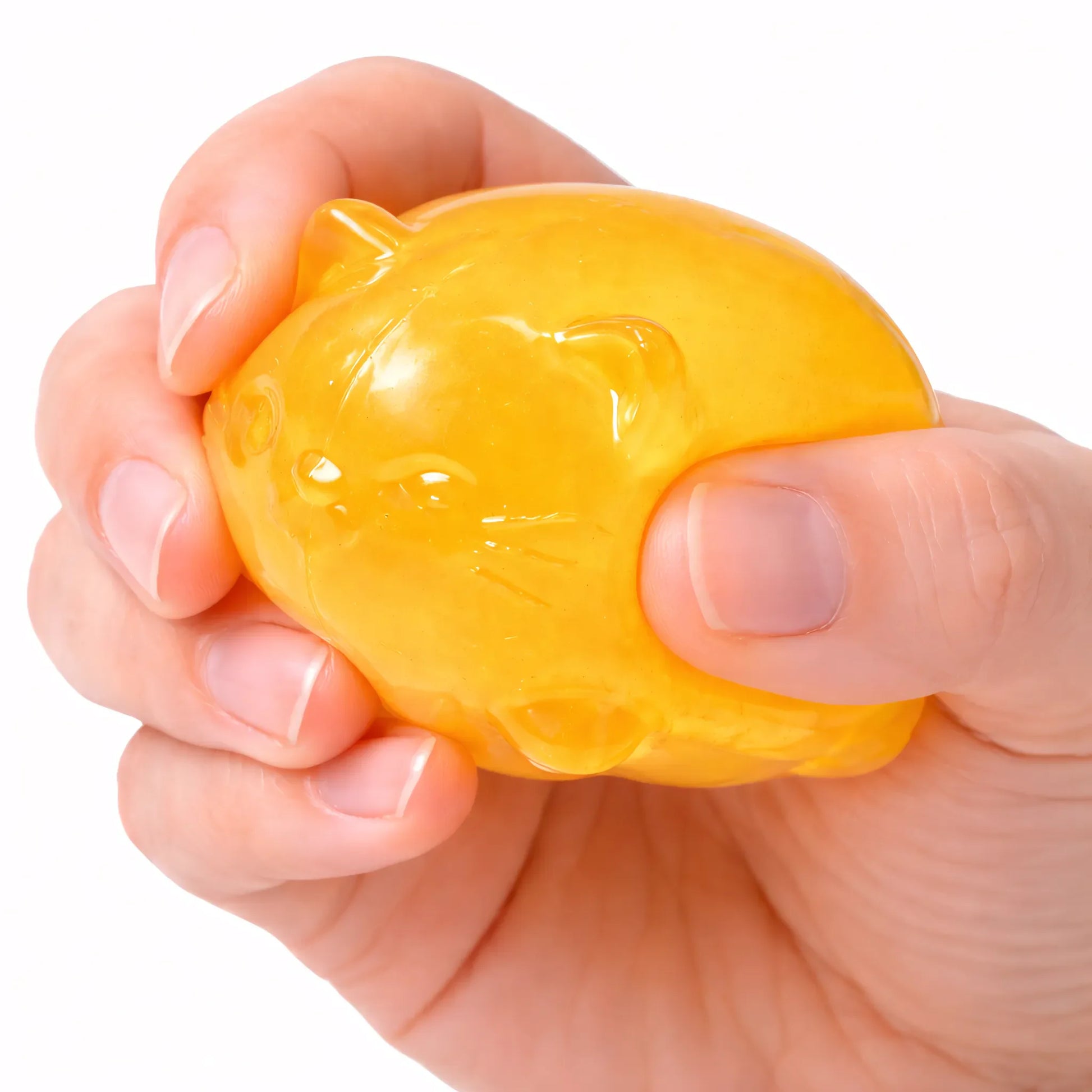Squishy chat orange Transparent