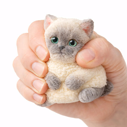 Squishy Chat Réaliste Ragdoll