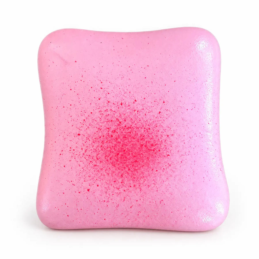 Squishy Pink Toast